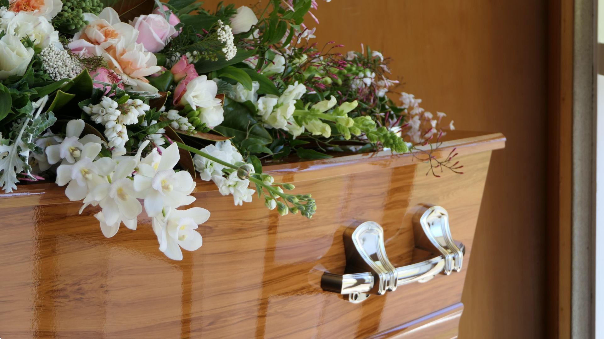 Are you looking for alternatives to traditional burial or cremation? Discover other committal options here. Are you looking for alternatives to traditional burial or cremation? Discover other committal options here.