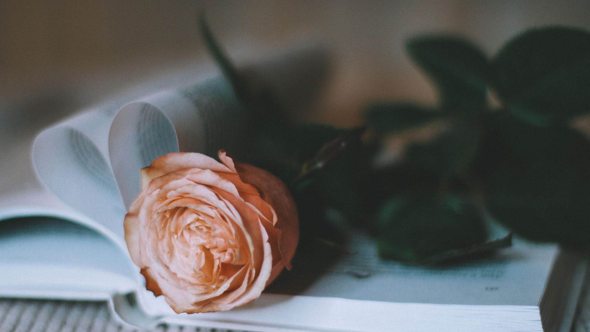 Pam Ayres proves that funeral poems can be funny, as well as sad.