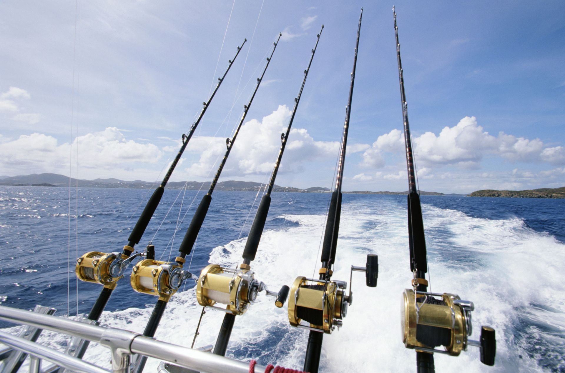 canne da pesca
