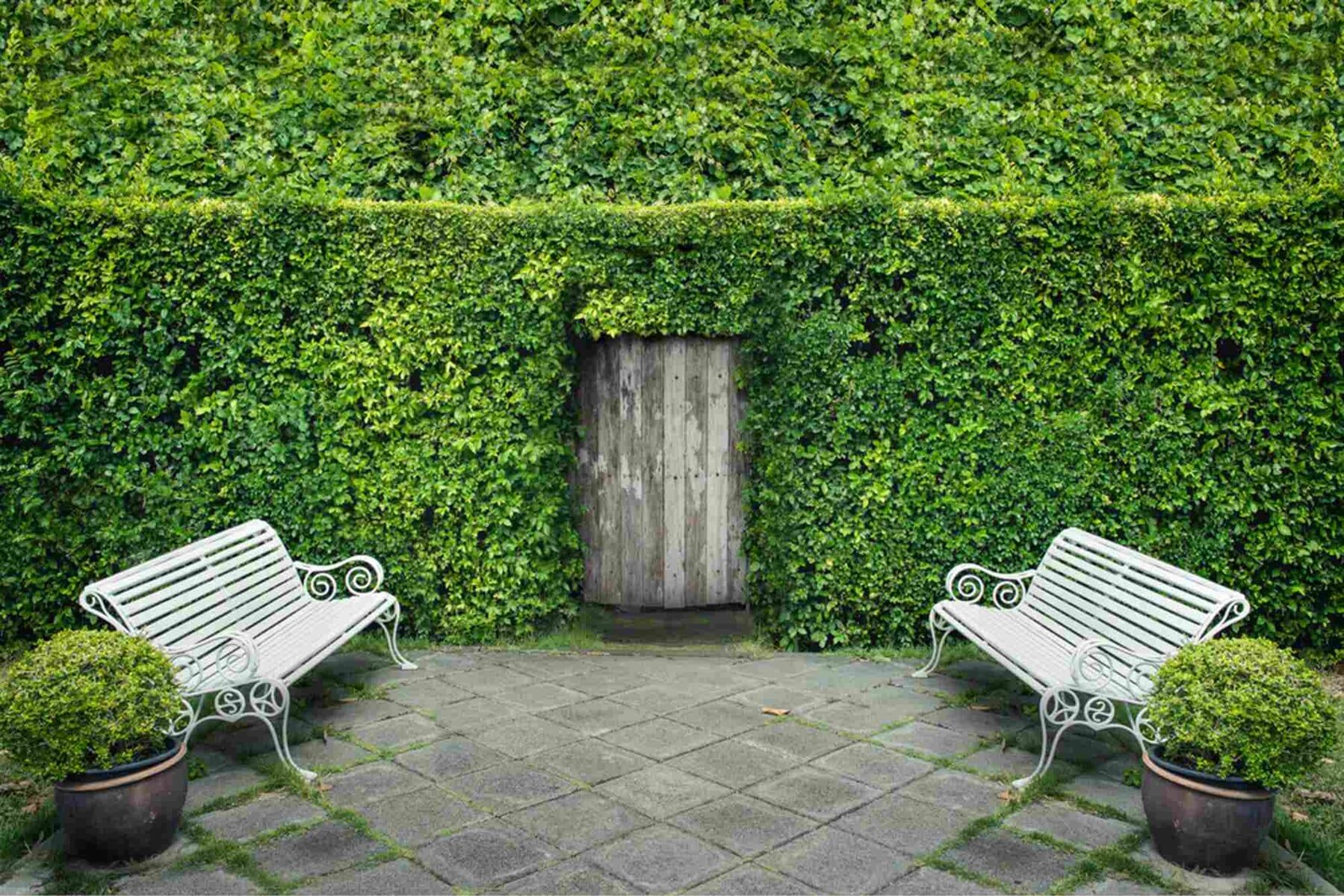 Garden Feature Wall — Structural Landscaping in Port Macquarie, NSW