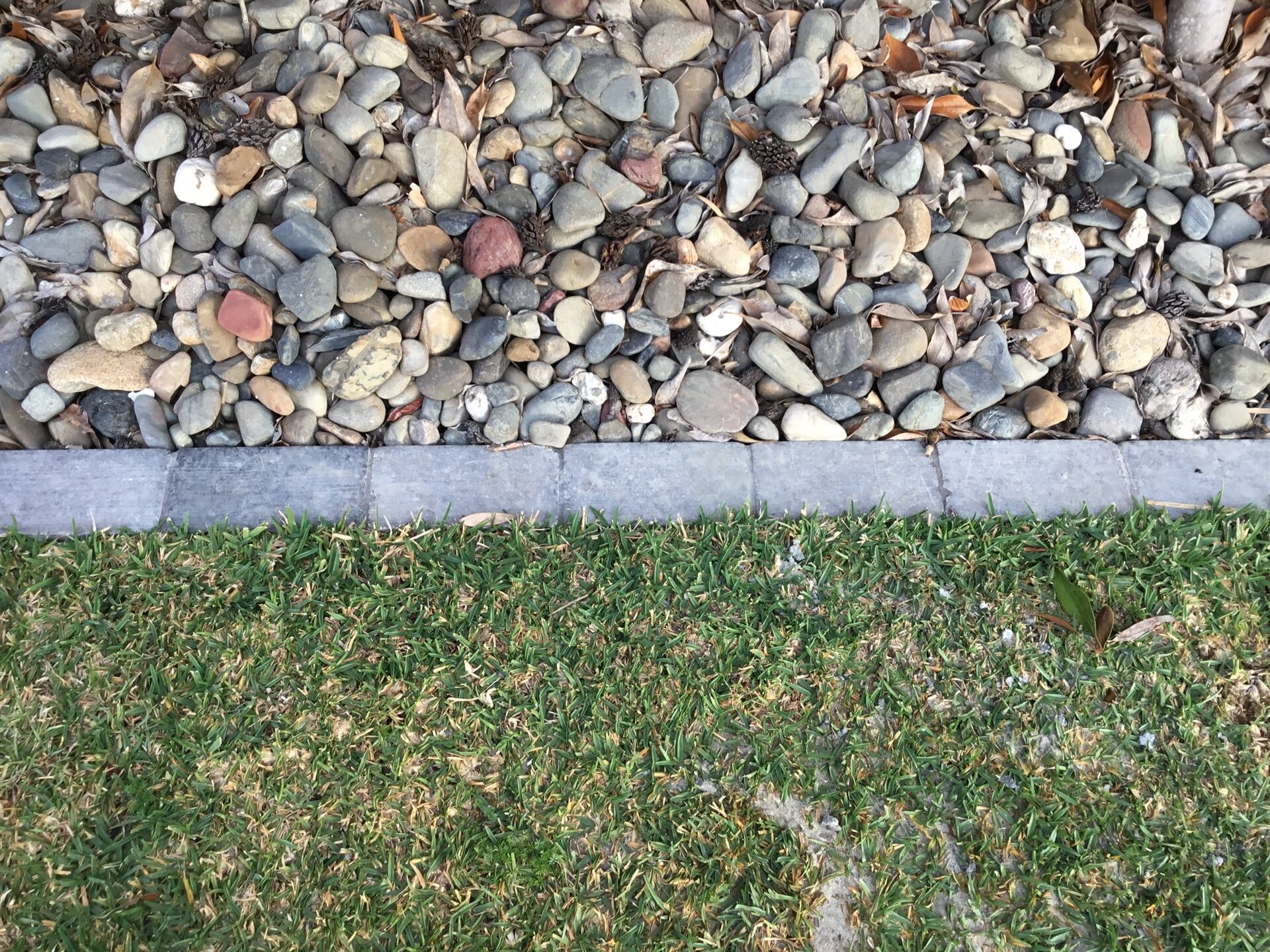 Concrete Paver Edging - Structural Landscaping in Port Macquarie, NSW