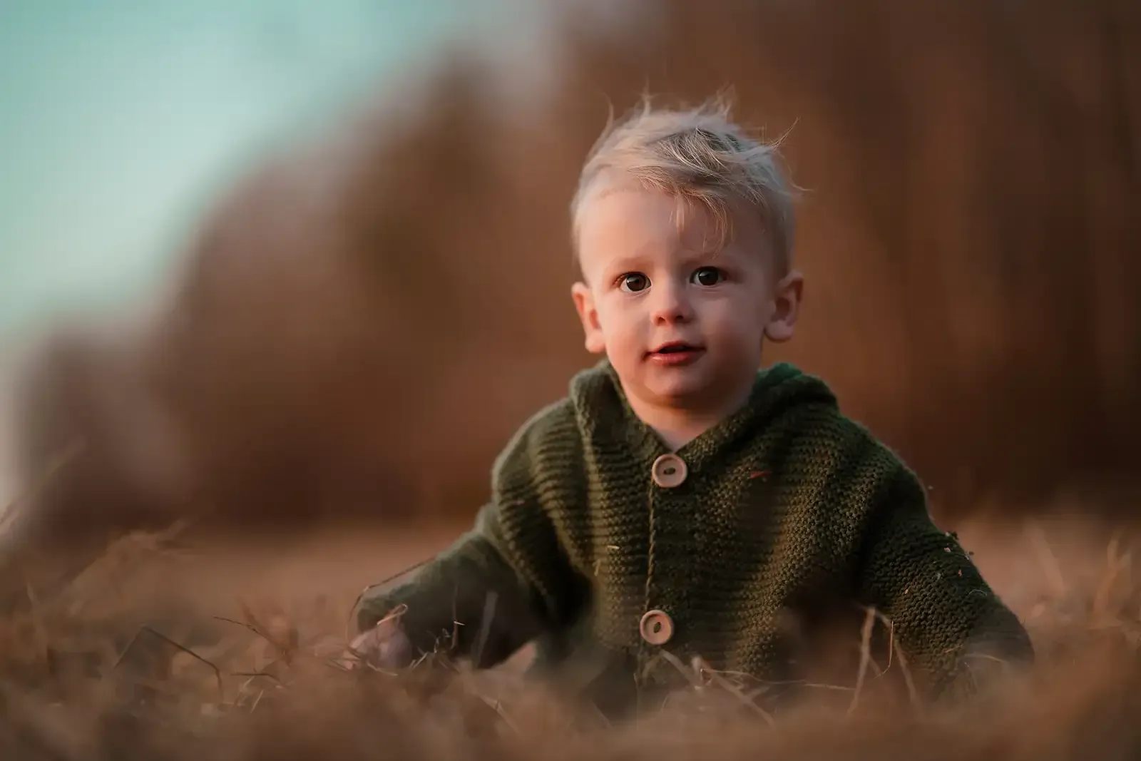 Toddler in a green sweater sitting in tall grass, looking at the camera with a soft blurred background.