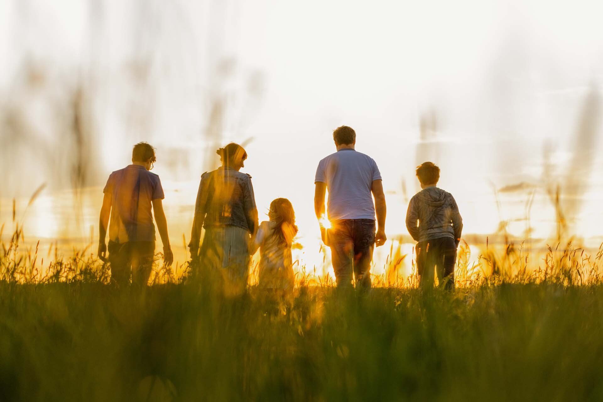 Five people walking through tall grass at sunset, backlit by warm golden light.