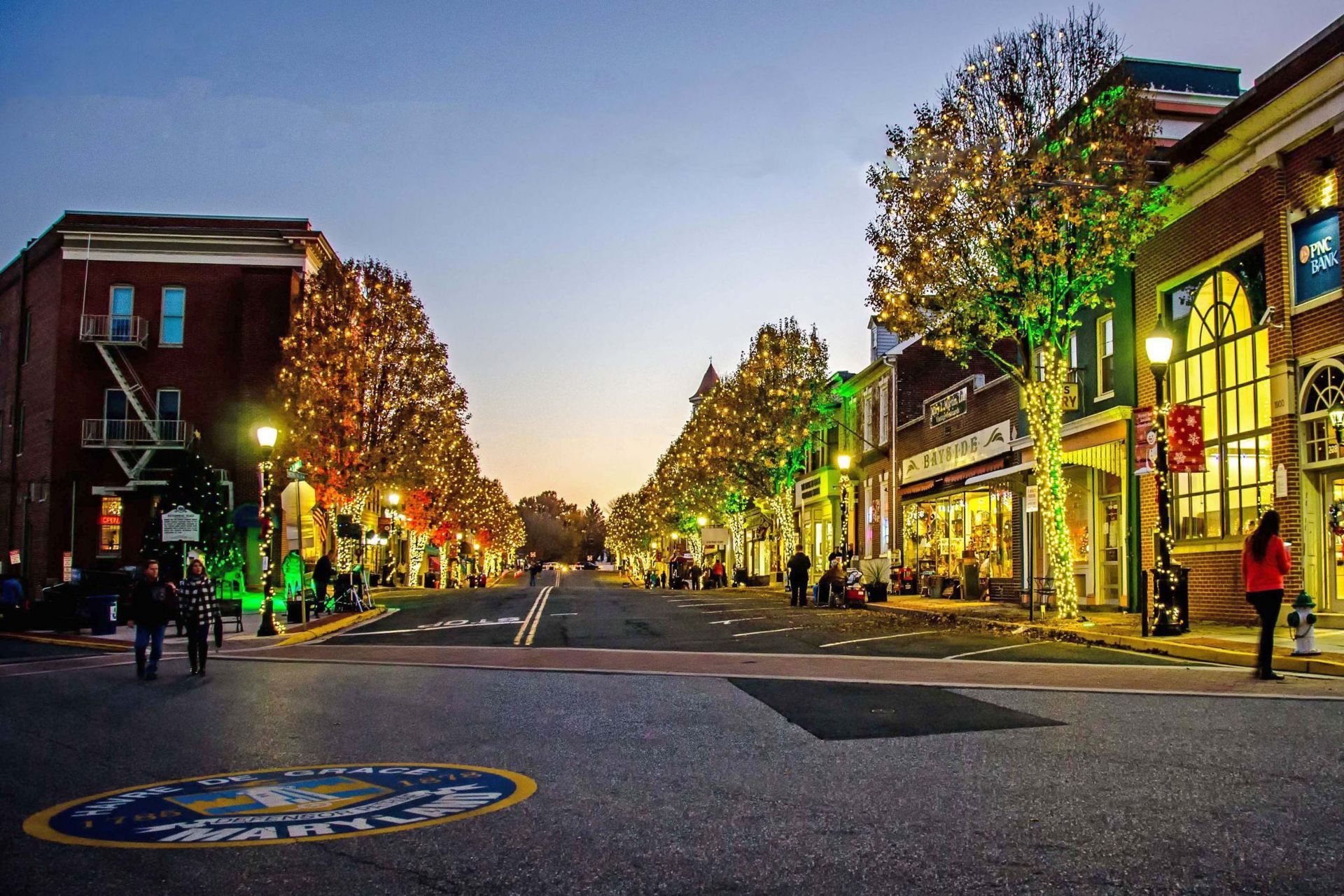 Street lined with buildings and trees decorated with lights, evening. People walk along the street.