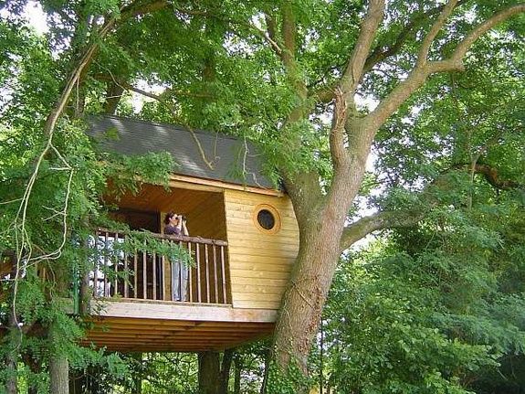 Houten boomhut in een grote boom, met een balkon en iemand op het balkon die naar buiten kijkt.