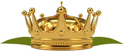 Gouden kroon met een gedetailleerd ontwerp, bovenop groene bladvormen.