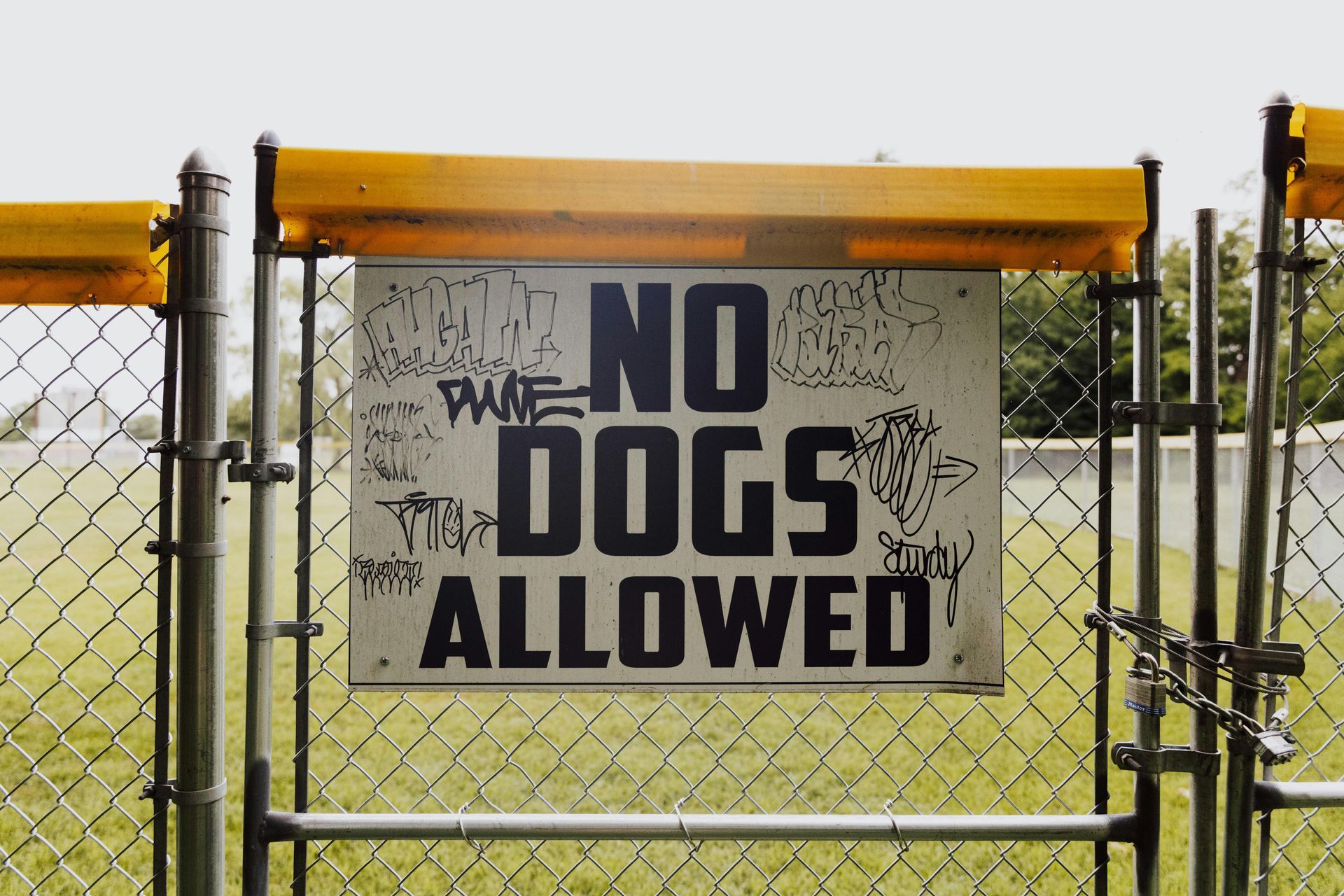 Bord op een gaashek: "HONDEN NIET TOEGESTAAN" met graffiti, gele bovenrand, groen veld op de achtergrond.