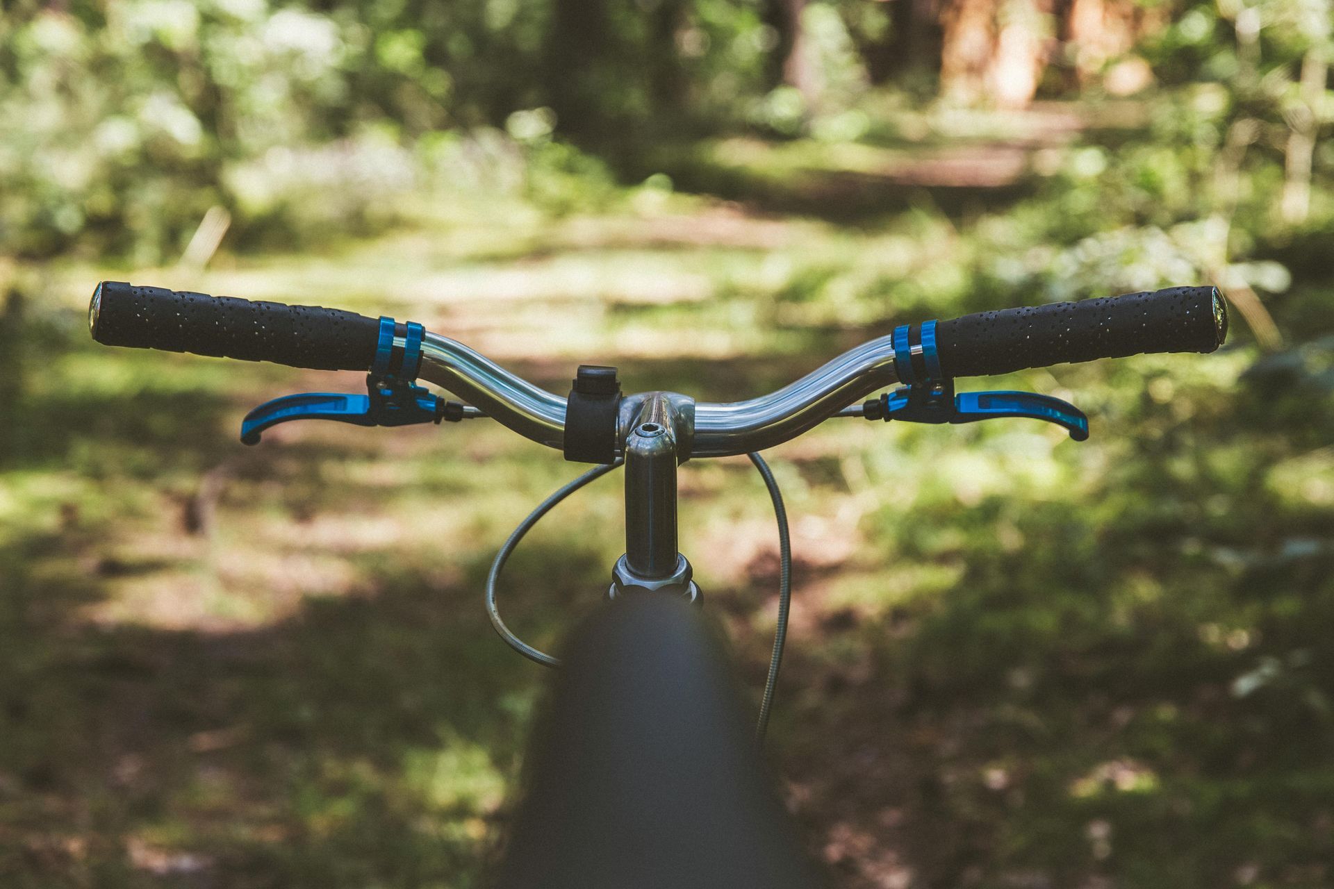 Fietsstuur met blauwe remhendels, op een bospad.