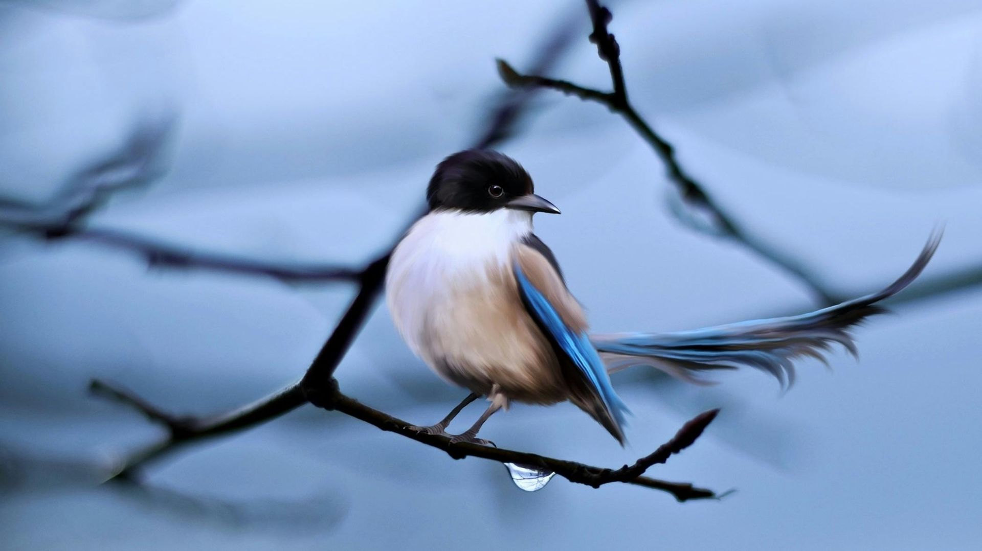 Een vogel met een zwarte kop, een lichtbruin lichaam en blauwe vleugels en staart zit op een kale tak.