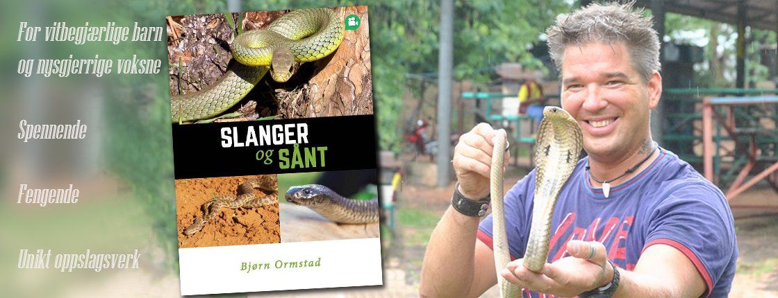 Boken Slanger og sånt av Bjørn Ormstad. For vitbegjærlige barn og nysgjerrige voksne. Spennende, fengende og har et unikt oppslagsverk.