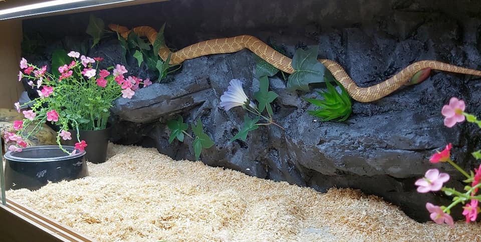 Terrarium
