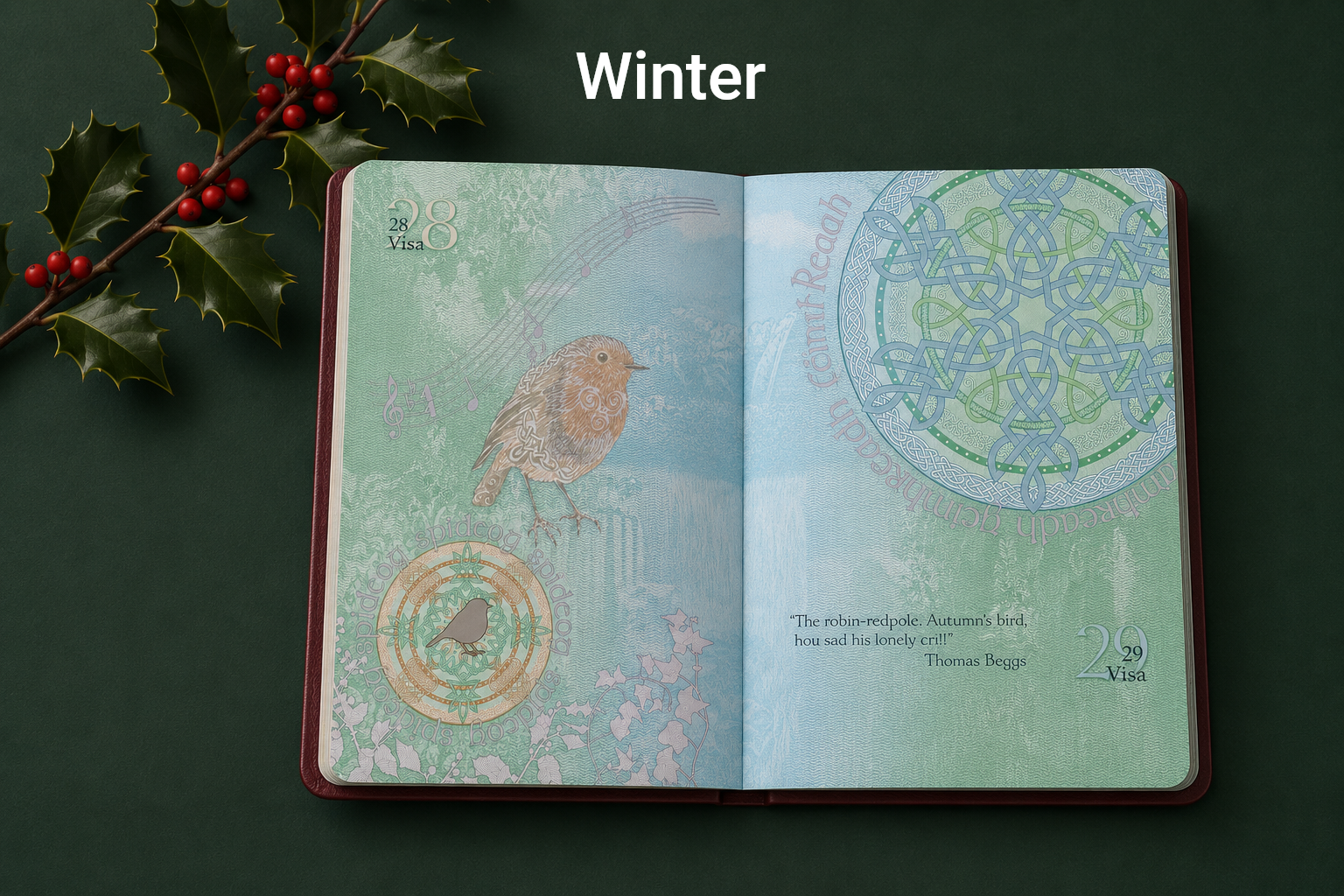 Irish Passport Winter