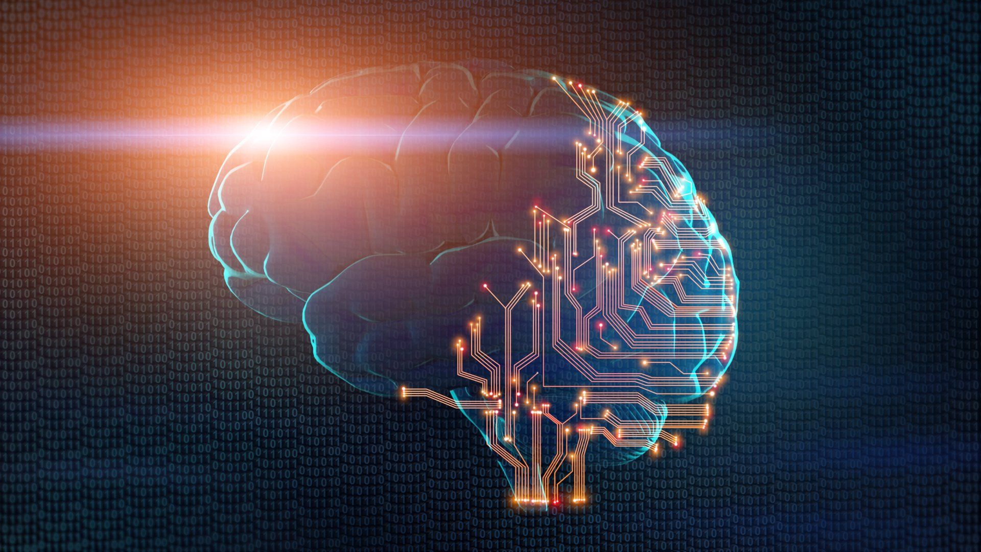Apprendimento elaborazione dell'informazione