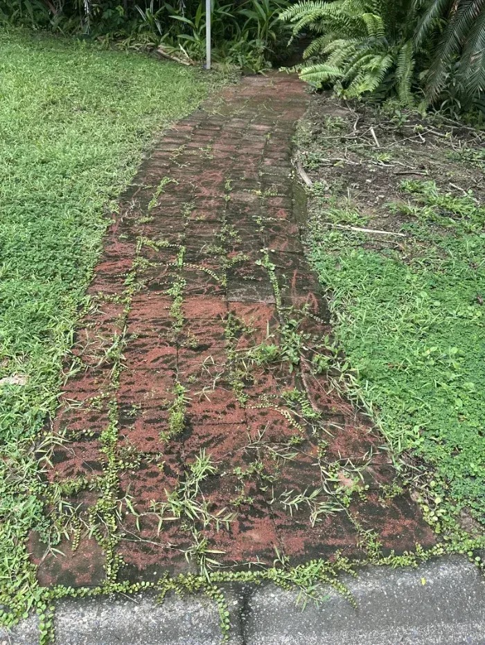 Red Brick Garden Path Overgrown With Weeds and Moss — I Do It All in Noosa, QLD