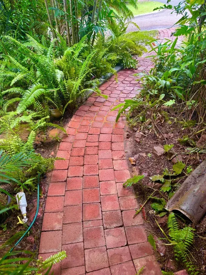 Curved Red Brick Pathway Winds — I Do It All in Noosa, QLD