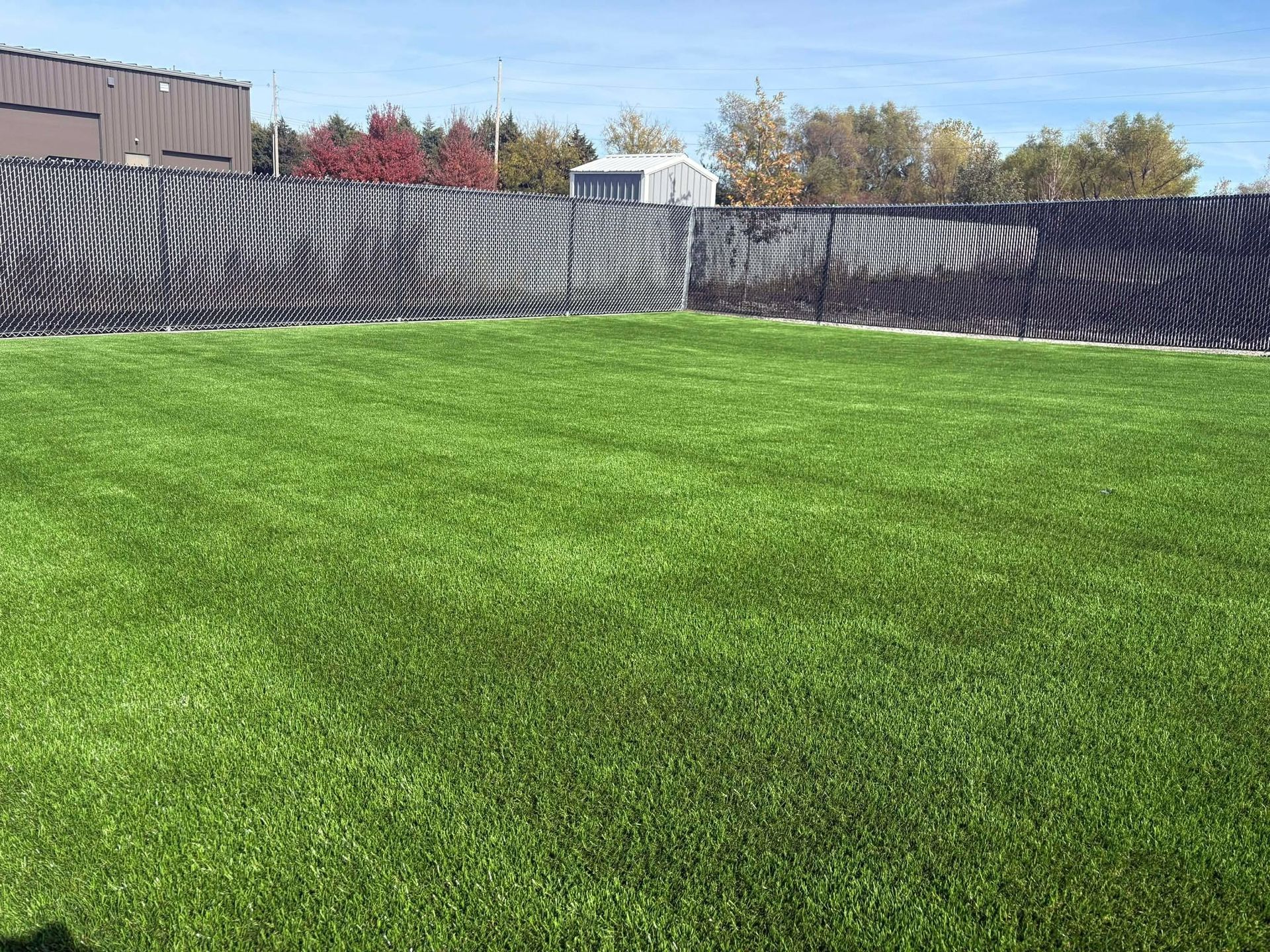 Grassy field bordered by a black-and-white striped fence under a blue sky