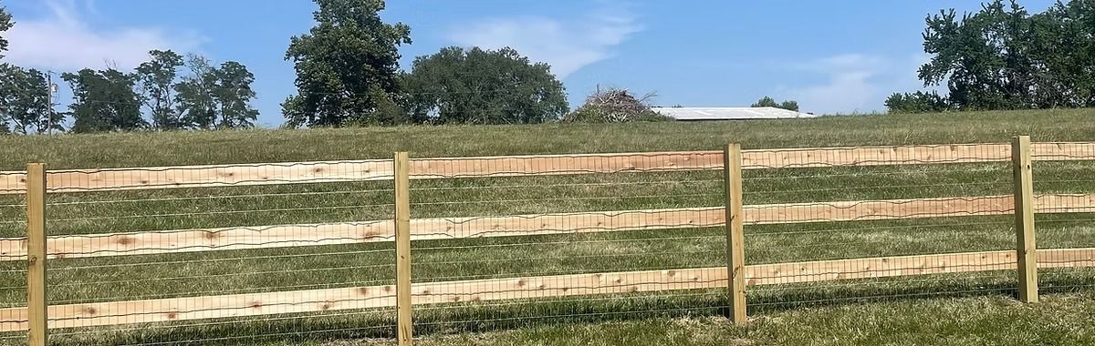 Wooden fence with white rails in a grassy field, with trees and a blue sky in the background.