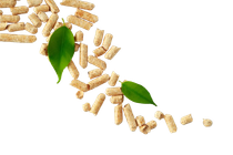 pellet