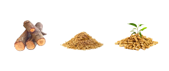pellet