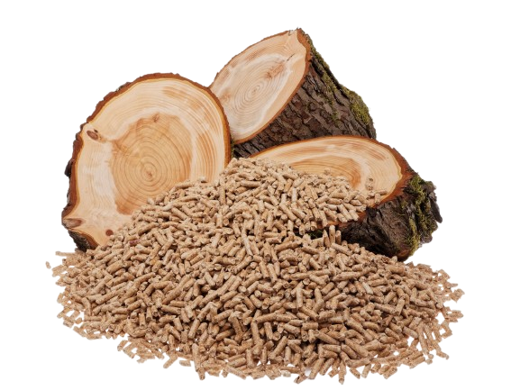 pellet