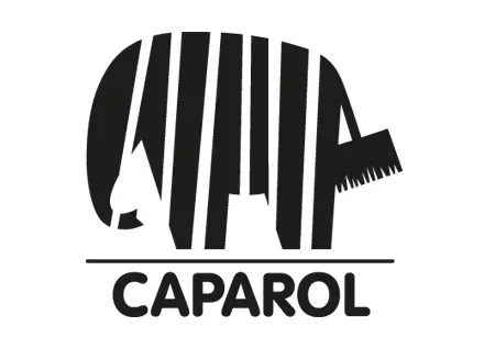 Logo von Caparol