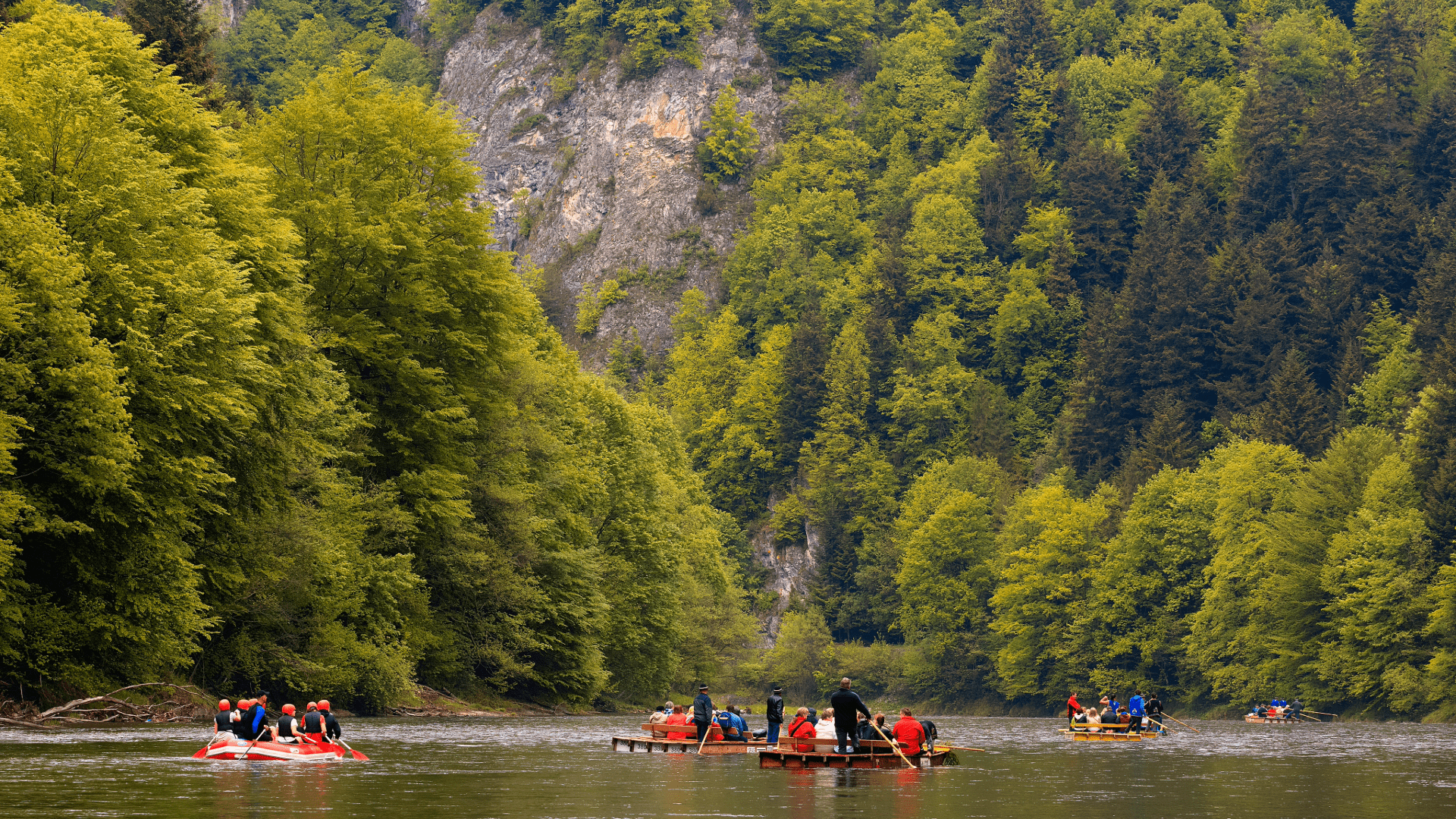 Tourists rafting on a mountain river surrounded by trees