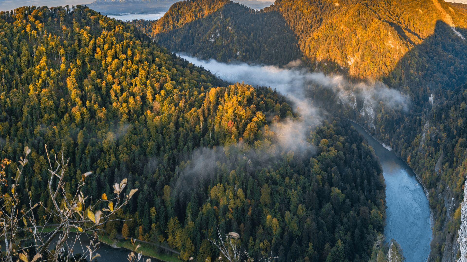 Sunlit hills and forest landscape during autumn near a river, viewed from above
