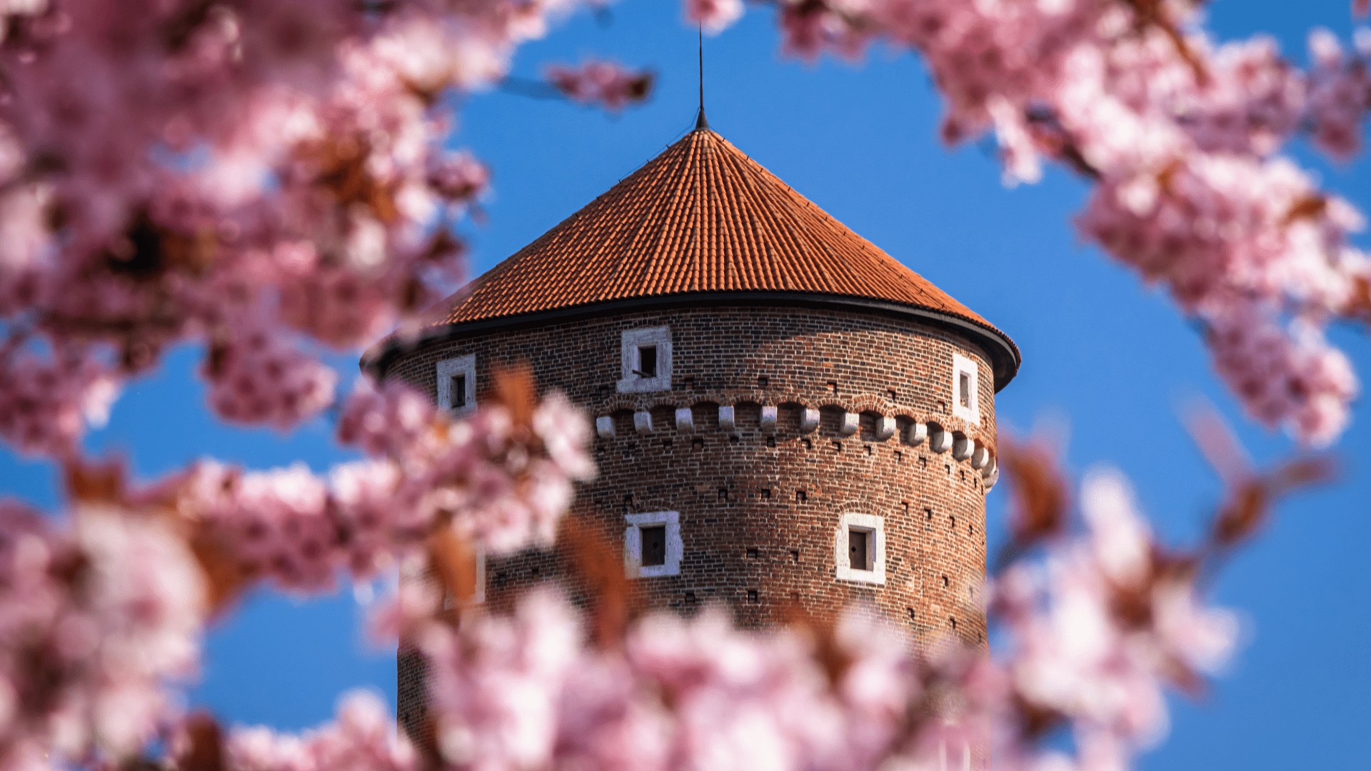 Historic brick tower surrounded by pink cherry blossoms
