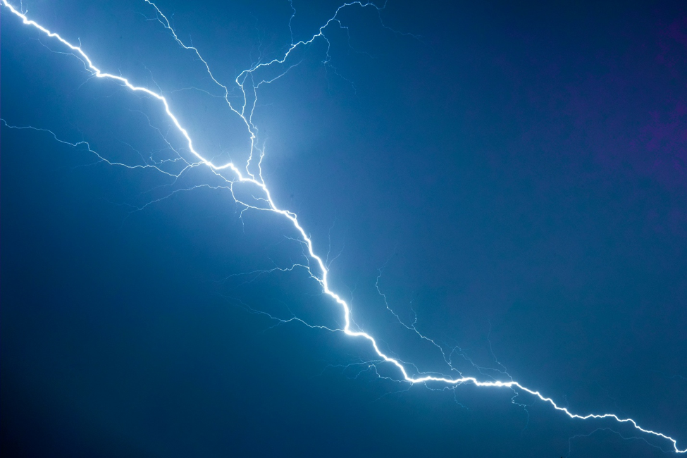 whole home surge protection