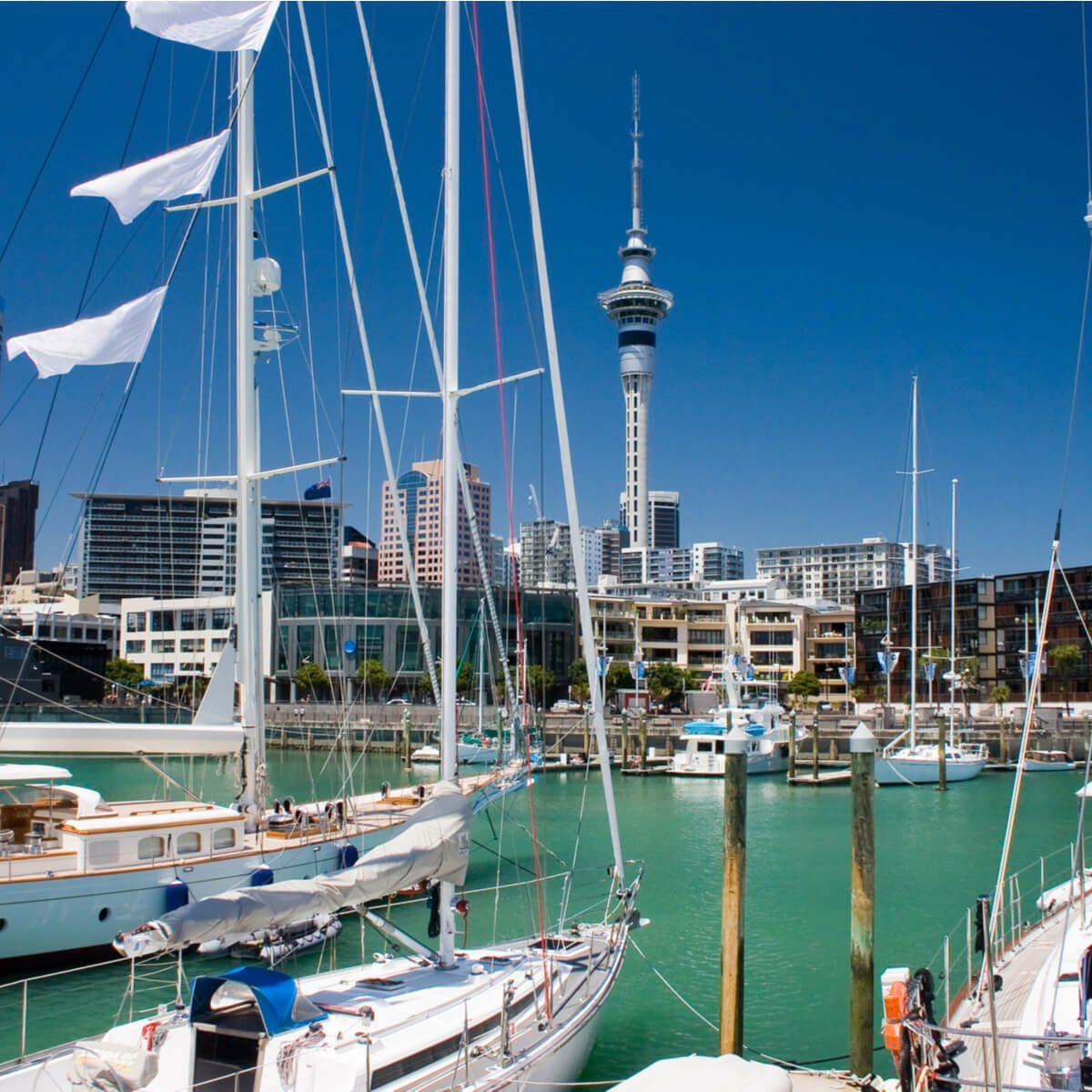 An Introduction to the Psychiatry Job Market in New Zealand