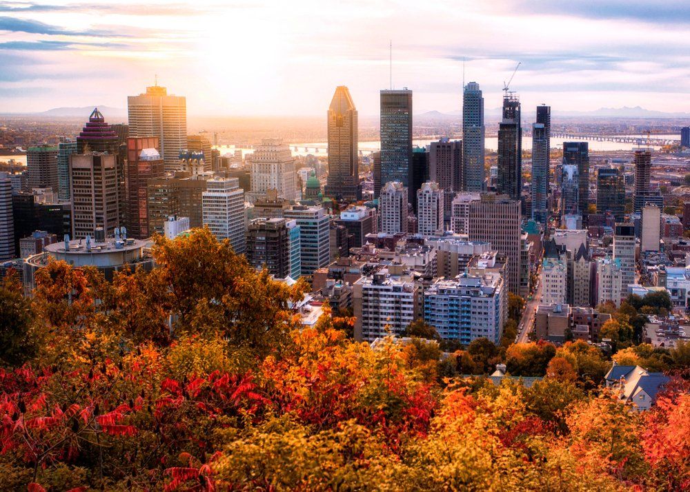 A Guide to Specialist Physician Registration and Jobs in Canada