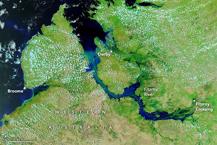 NASA Earth Observatory image of Fitzroy River Flooding in Kimberly WA Australia