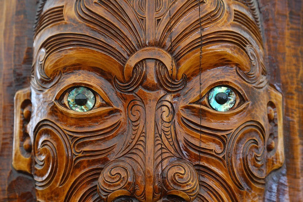Working with Maori in New Zealand Medicine- Guide for Doctors