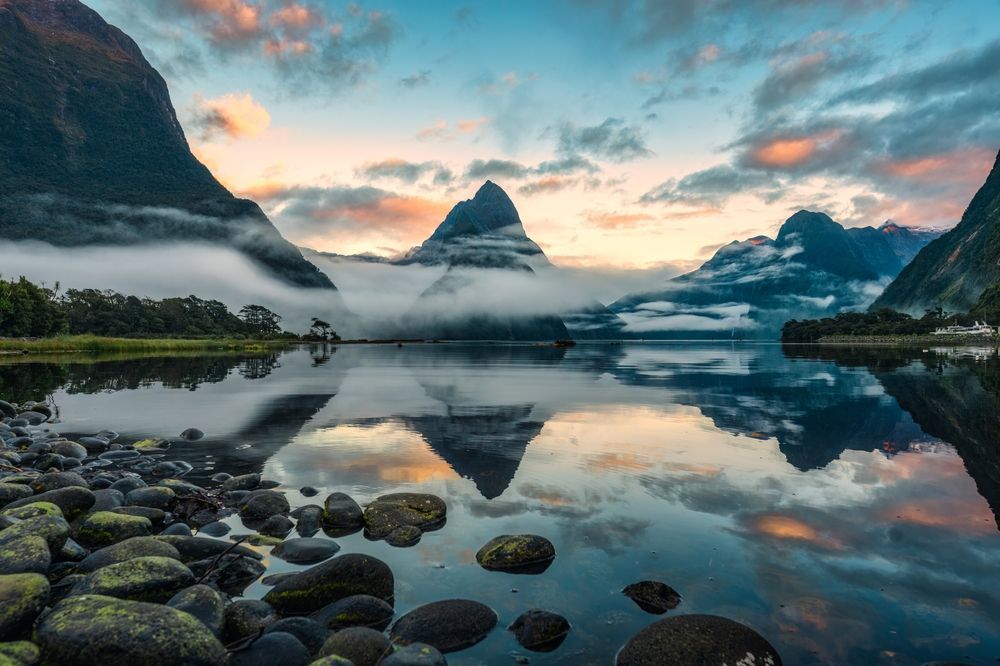 NEW ZEALAND