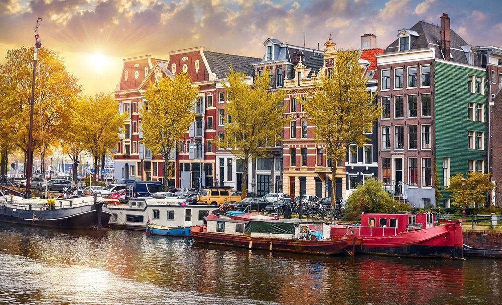 Jobs for dentists in the Netherlands