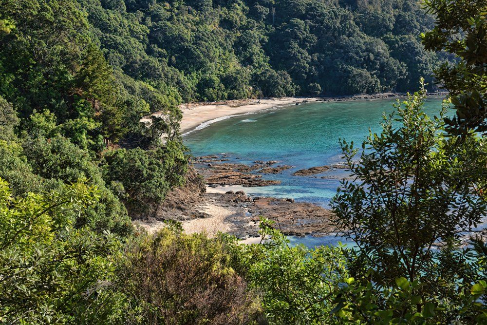 German Paediatrician Secures Senior Job in New Zealand with Recruiter Designed Job Search