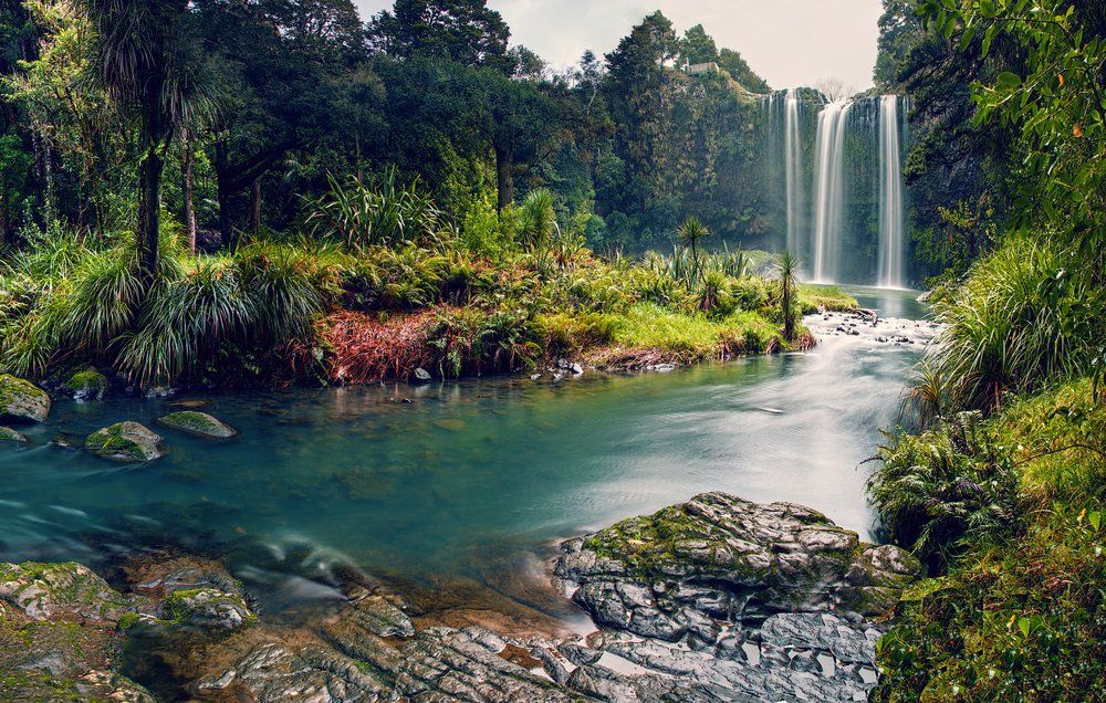 Strategy for an anaesthetist job search in New Zealand