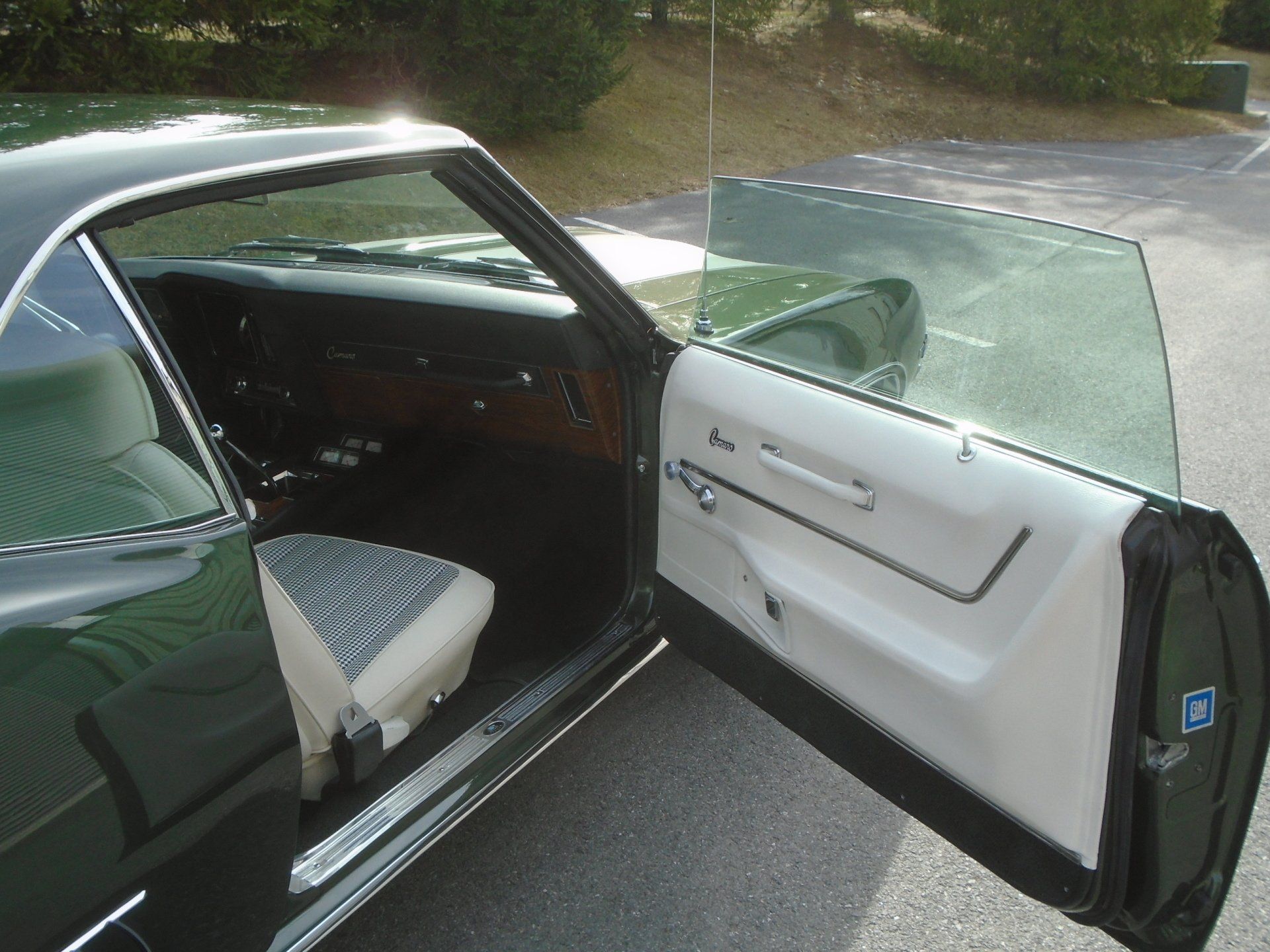 Green classic car interior with door open, showing white door panel and gray seat.
