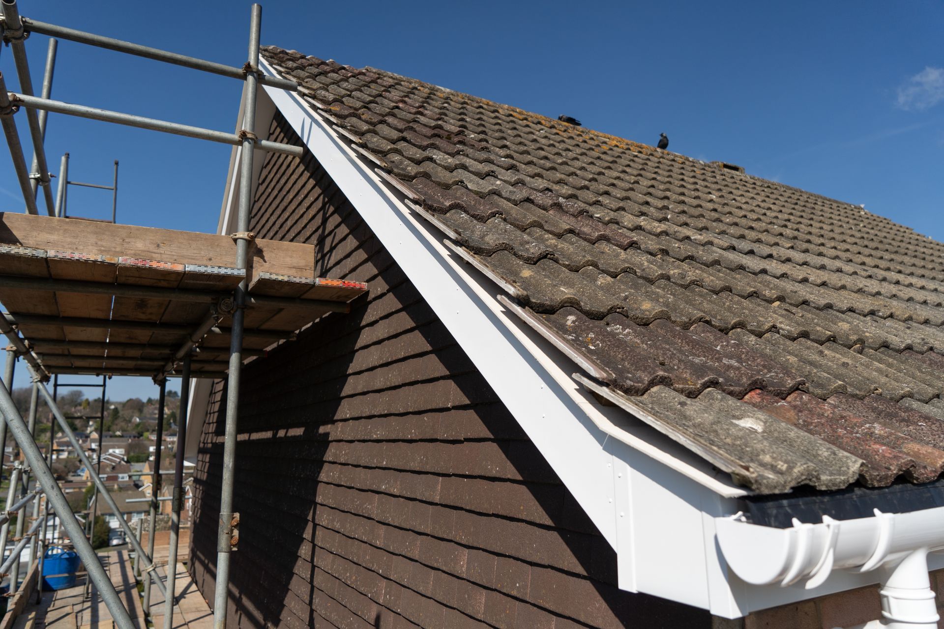 fascia white