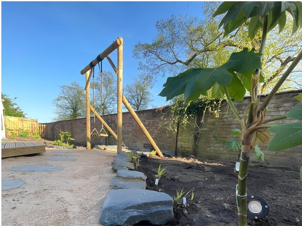 Young Tetrapanax with large lobed leaves and a garden uplighter in the foreground, with a timber swing frame against an old brick boundary wall