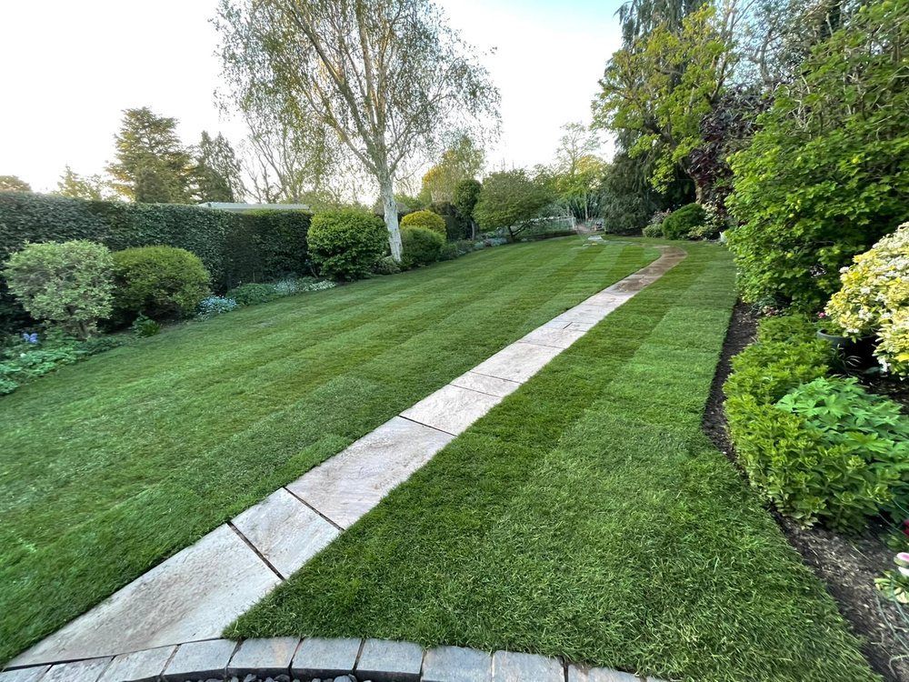 Finished striped lawn with a sandstone path running through it after land drainage