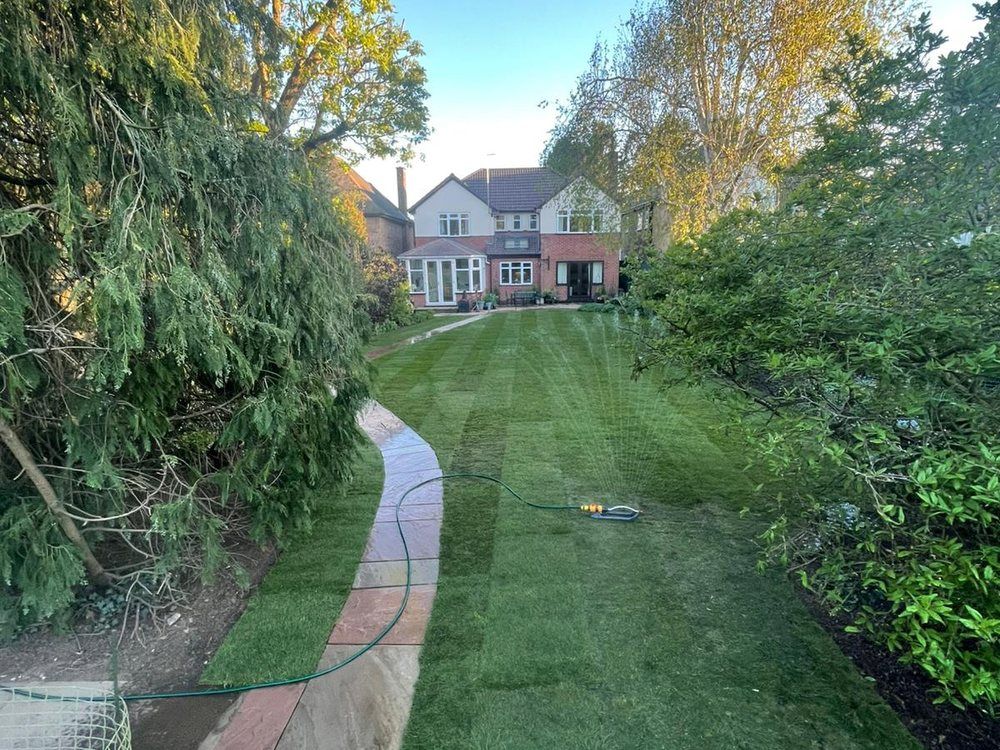 Newly turfed lawn running back towards the house after a garden drainage scheme