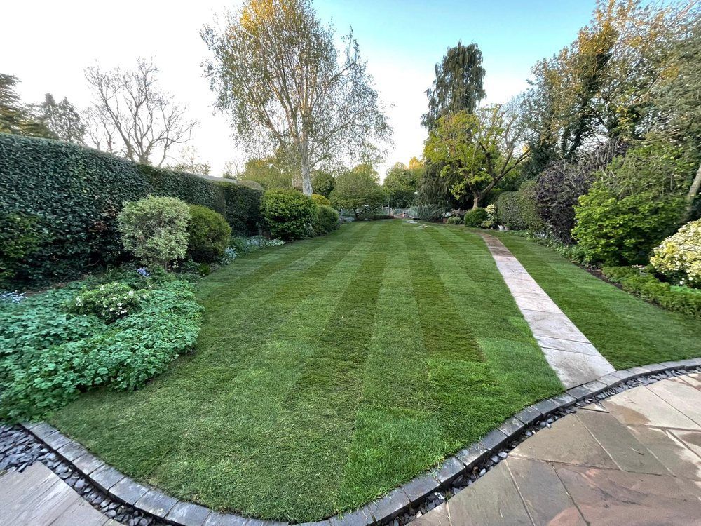 Striped lawn with stone edging and clipped hedging following land drainage