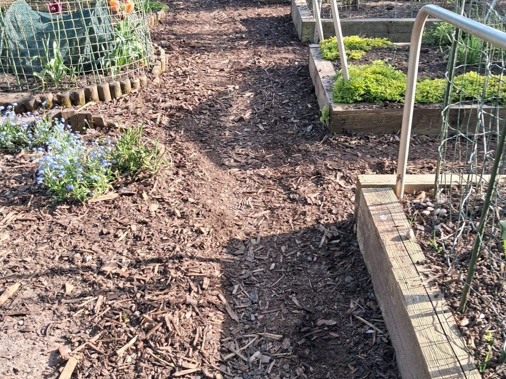 Garden path and raised beds reinstated after drainage trenches were backfilled