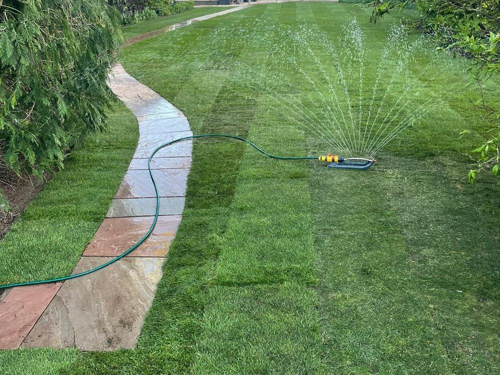 Sprinkler watering in newly laid turf over a completed land drainage system