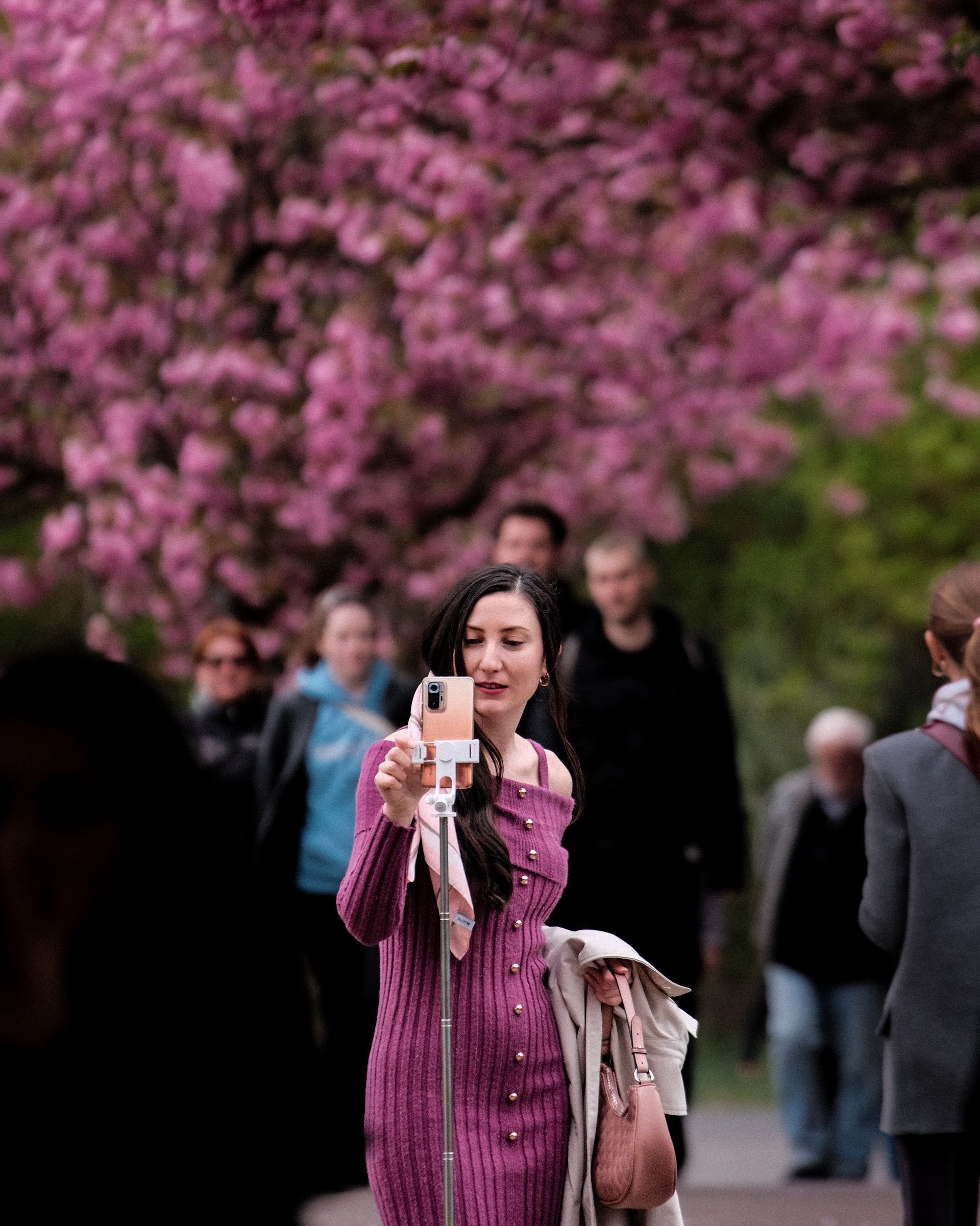 Woman in a purple coat taking a photo on a flower-lined path, with pink blossoms and people in the background