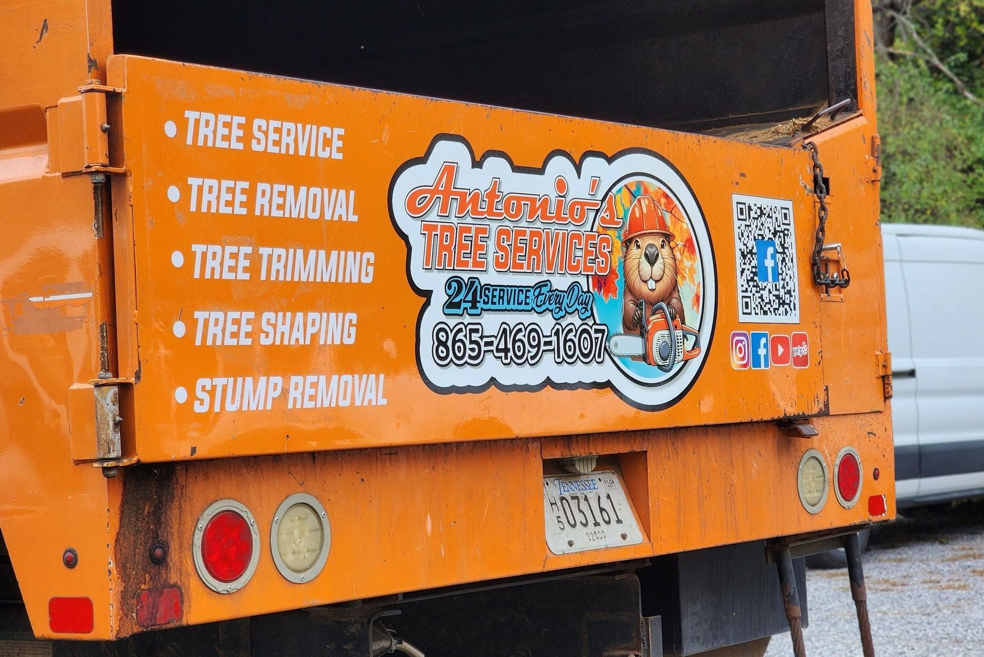 A tree service truck is parked in a parking lot