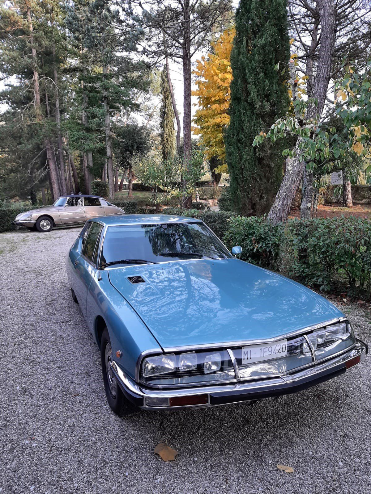 Due auto d'epoca parcheggiate su un vialetto di ghiaia tra alberi ad alto fusto, con una coupé classica blu davanti.