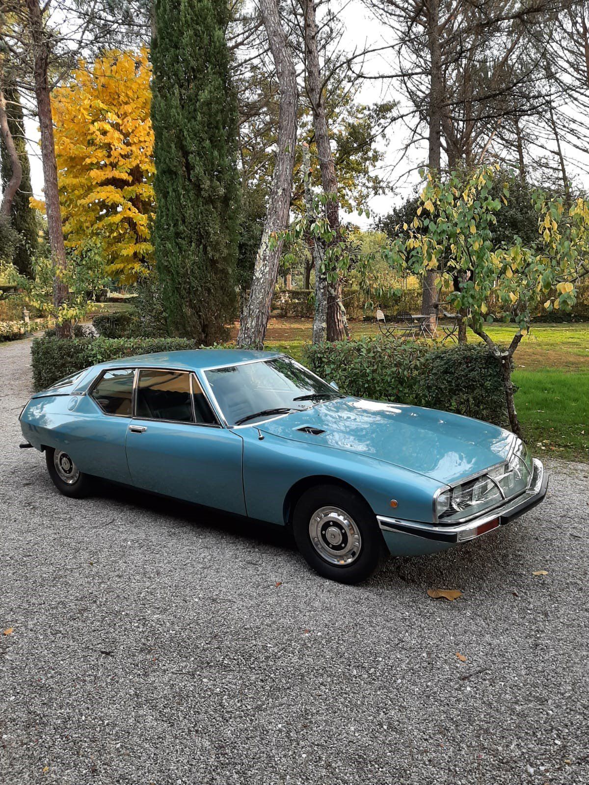 Auto sportiva d'epoca blu parcheggiata su ghiaia in un giardino lussureggiante con alberi ad alto fusto.