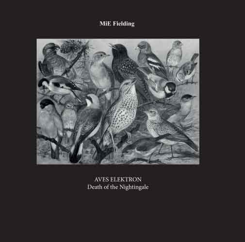 Aves Elektron: Death of the Nightingale. Book and CD sound art